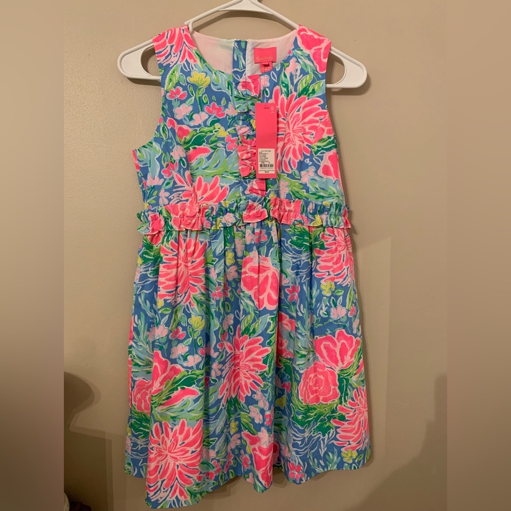 Lilly Pulitzer Annalee dress
